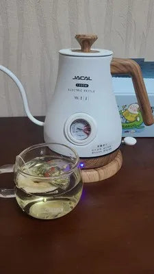 Chaleira elétrica Gooseneck, Controle de temperatura, Cortar, Habitação de proteção seca, Chá, Café, Termômetro de água, Longo Despejo