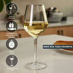 MICHLEY-Copo de vinho plástico Tritan inquebrável, Piquenique Set, Reutilizável, Luxo para Festa, Térmicas, Exterior, Máquina de lavar louça, Vidro, 2 Pcs, 4 Pcs, 6Pcs